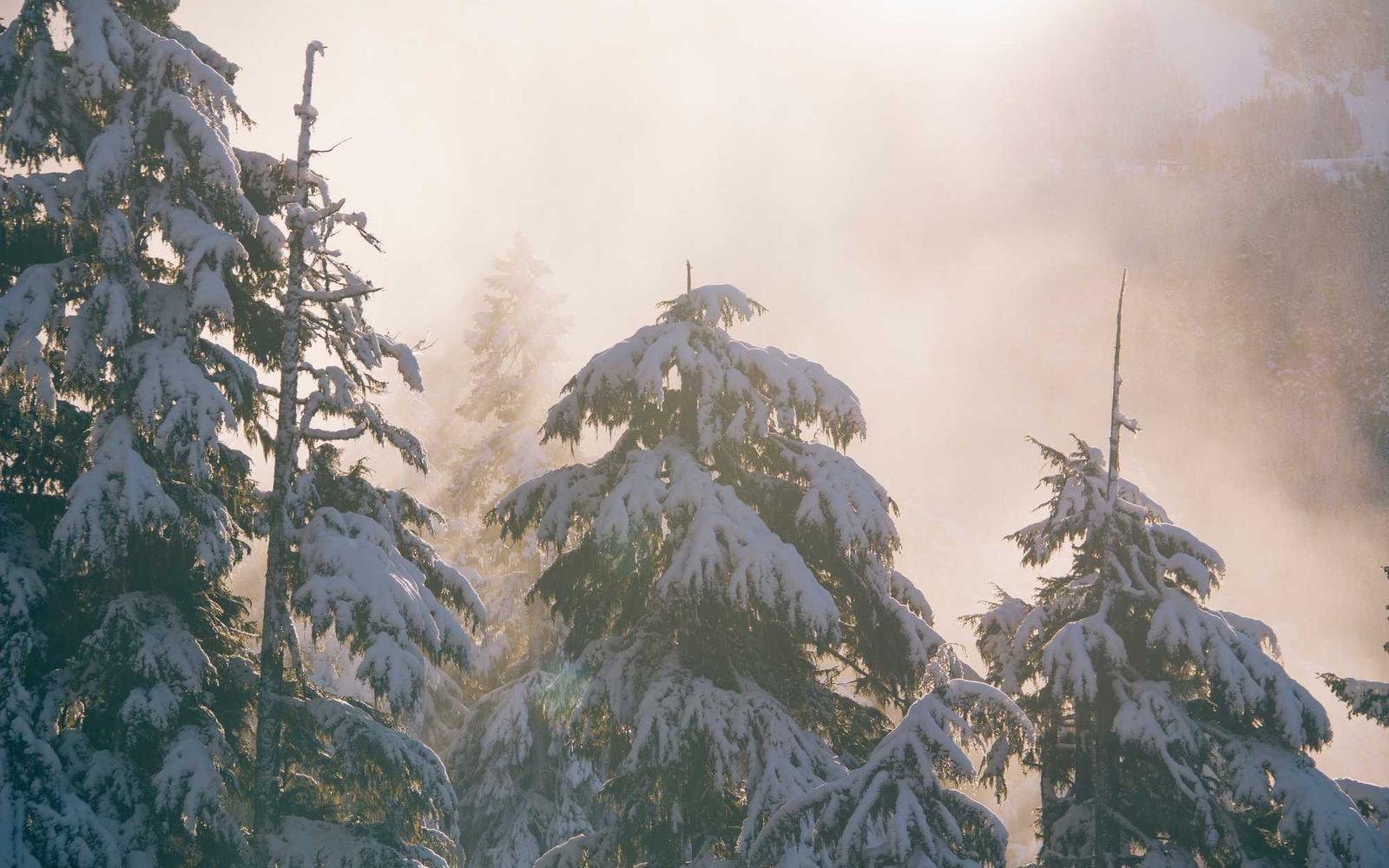 job interview background