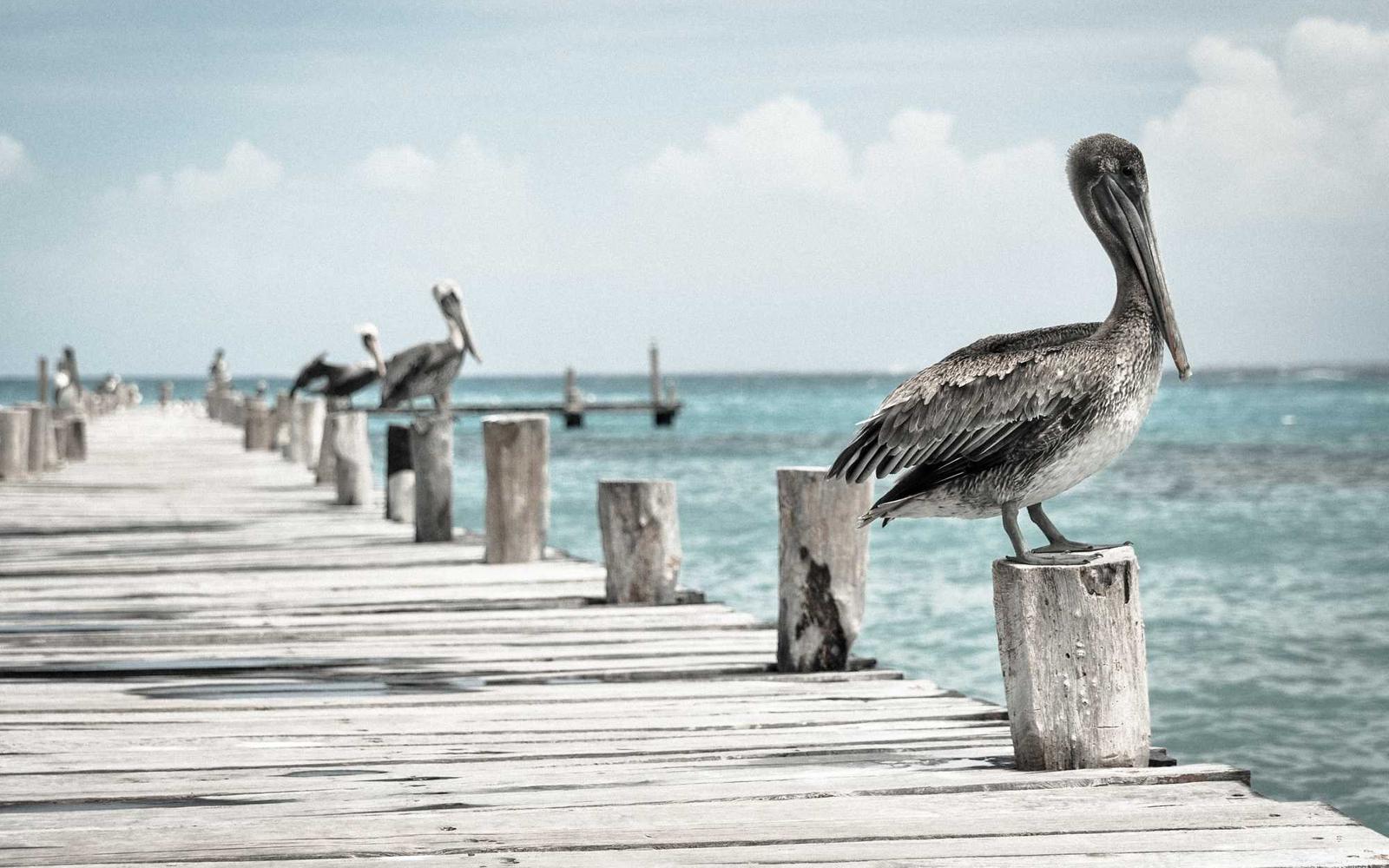 graduate school interview background